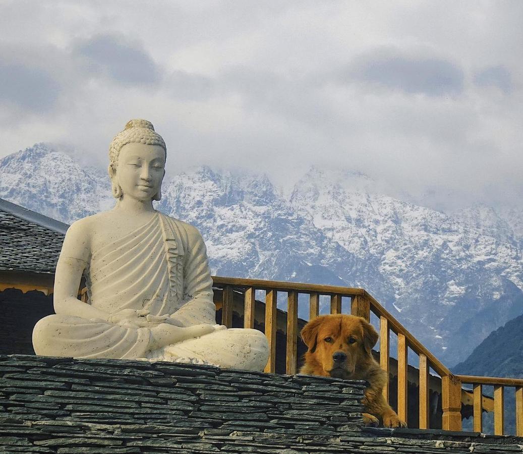 Osho Himalayas Wellness Resort Kangra Exterior photo
